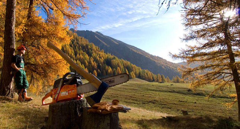 OLEO-MAC GSH 560 PIŁA PILARKA PRZECINARKA SPALINOWA ŁANCUCHOWA DO DREWNA GSH560 3,8 KM 46cm 18" KLASA PREMIUM 50329051E2 GSH EWIMAX-OFICJALNY DYSTRYBUTOR - AUTORYZOWANY DEALER OLEO-MAC zdjęcie 14