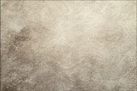 Tło fotograficzne Produktowe FLAT LAT Kulinarne