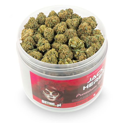 Susz konopny CBD | JACK HERER | 1 g na Arena.pl