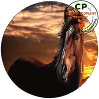 Opłatek na tort Konie