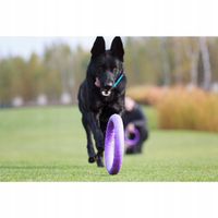 Szarpak dla psa PULLER Standard 28 cm - Zabawka 2 ringi dla dużych ras psów