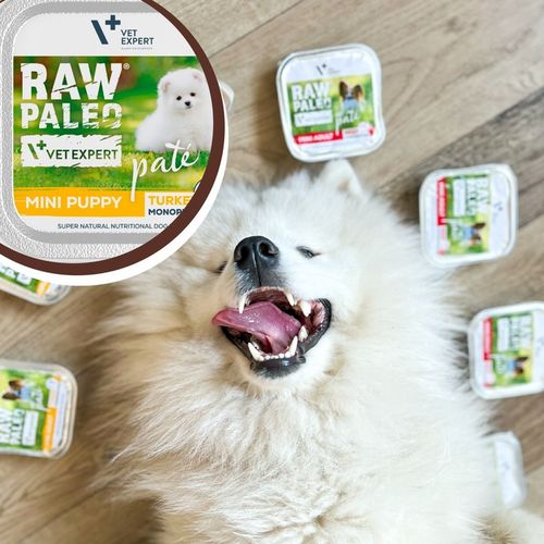 Mokra karma dla szczeniąt małych ras indyk Raw Paleo Pate 12 x 150 g na Arena.pl