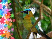 Puzzle tradycyjne Zwierzęta - Ptak