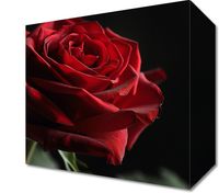 product-compare-59493355