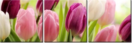 60 90CM OBRAZ 3 ELEM SOCZYSTE TULIPANY ŚCIENNY DRUK PŁÓTNO na Arena.pl