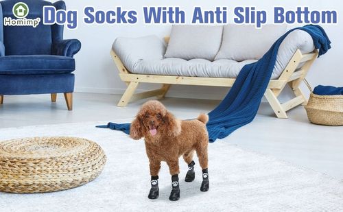 SKARPETY ANTYPOŚLIZGOWE DLA PSA ROZM. XXL na Arena.pl