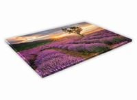 SZKLANA DESKA KUCHENNA 60x20 169c Lawendowe pole