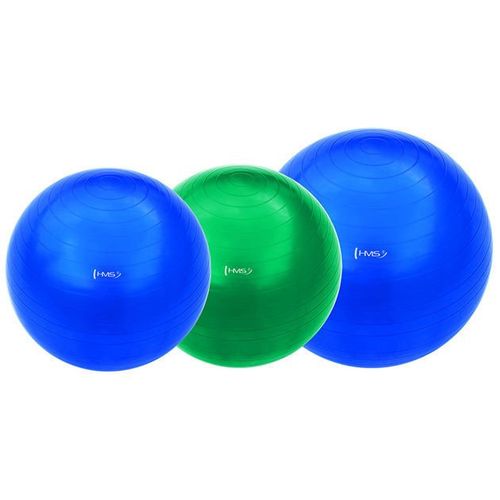 Piłka gimnastyczna YB01 (PG 65 cm) HMS na Arena.pl