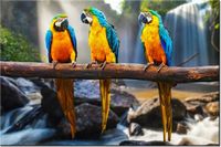 product-compare-58694415