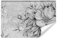 Fototapeta BETON Liście Kwiaty Rośliny Abstrakcja Mur 360cm x 240cm