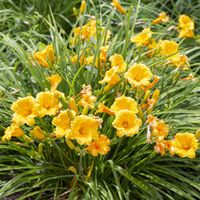 product-compare-57870571