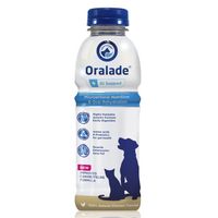livisto® oralade gi support 6 x 500ml elektrolity dla psów i kotów