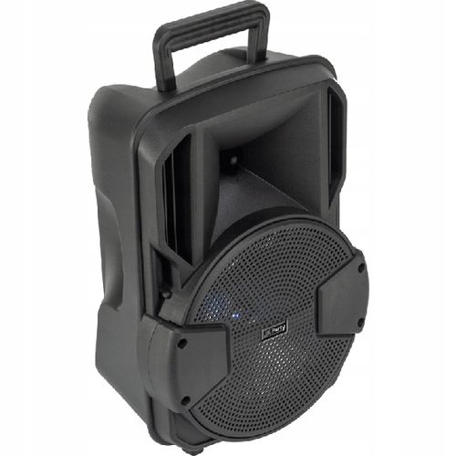 KOLUMNA PRZENOŚNA 300 W BLUETOOTH STATYW KARAOKE na Arena.pl