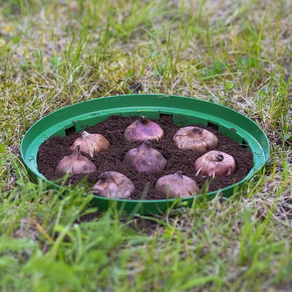 Koszyk do cebulek okrągły 18cm | Zieleń trawiasta zdjęcie 4