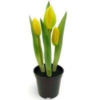 TULIPANY SILIKONOWE ŻÓŁTE SZTUCZNE TULIPANY GUMOWE W DONICZCE JAK ŻYWE