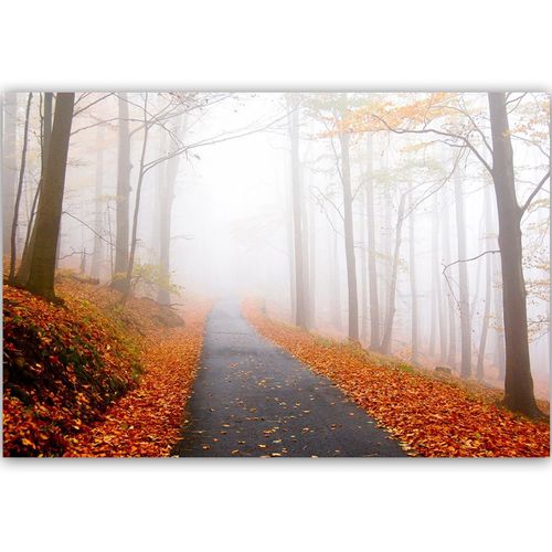 Deco Panel, Droga mgła las 60x40 na Arena.pl