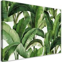 Obraz na płótnie,  Zielone liście tropikalne 60x40