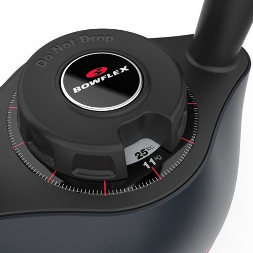 BOWFLEX KETTLEBELL 840 SELECT TECH na Arena.pl