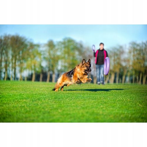 Szarpak dla psa PULLER Standard 28 cm - Zabawka 2 ringi dla dużych ras psów na Arena.pl