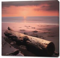 product-compare-59476912