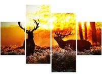 140CM 70 OBRAZ RYKOWISKO ŚCIENNY