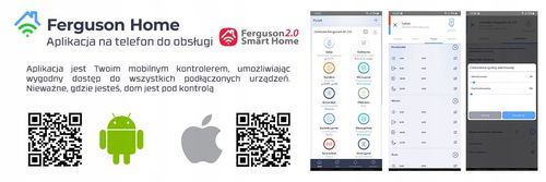 Centrala FERGUSON FS2SH na Arena.pl
