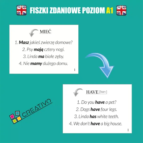 Angielski. Fiszki zdaniowe. Poziom A1 na Arena.pl
