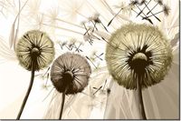 100 70CM OBRAZ PŁÓTNO DMUCHAWCE SEPI PŁÓTNO RAMA