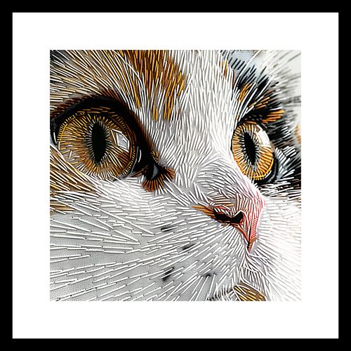 Plakat 30x30cm Nitkowany Kot na Arena.pl