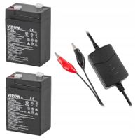 Zestaw Do Autka 2X Akumulator 6V 4,5Ah +Ładowarka