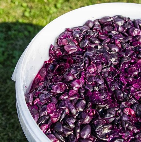 Pojemnik fermentacyjny na wino, miąższ 30 litrów z pokrywką BROWIN na Arena.pl
