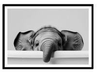 OBRAZ PLAKAT W RAMIE do Łazienki WC Toalety śmieszny słoń wanna P2519_43x53