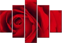 product-compare-58696848