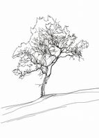 Plakat 39,5x55cm Drzewo w Zarysie