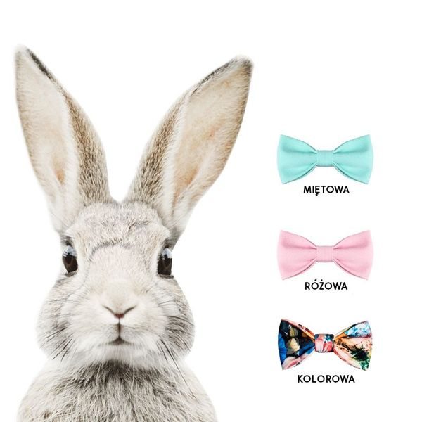 Naklejka Królik Stefan DK225 Kokarda Wielokolorowa L zdjęcie 3