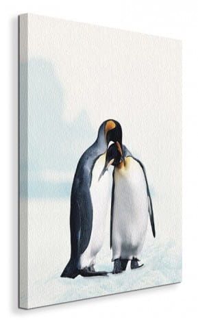King Penguin Pingwiny - Obraz na płótnie 40x50 cm na Arena.pl