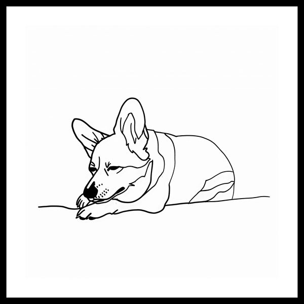 Plakat 40x40cm Śpiący Corgacz zdjęcie 3