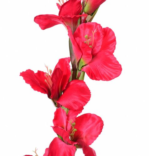 Mieczyk czerwony 84cm na Arena.pl