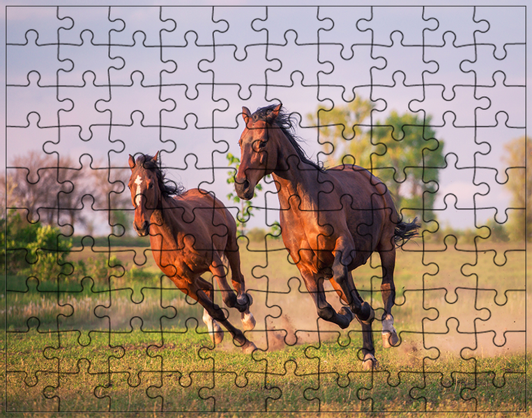 Puzzle Konie zdjęcie 1