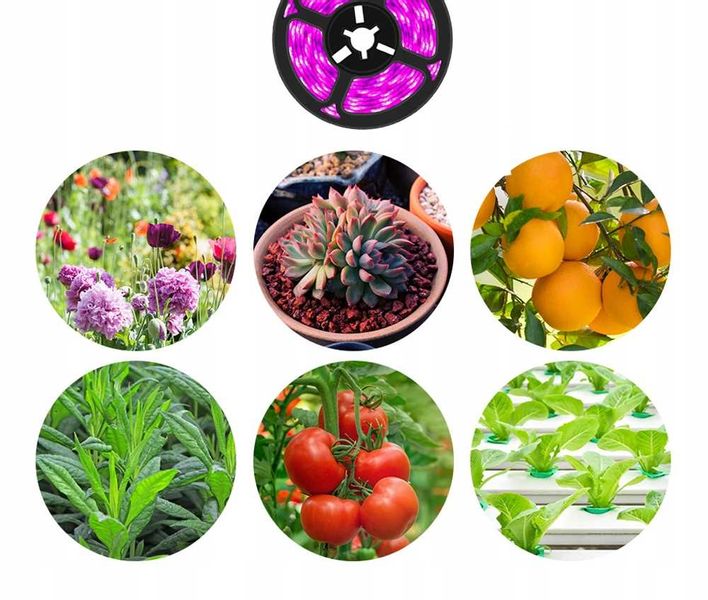 Taśma Led Plant Heckermann 3M Usb Ip20 zdjęcie 9