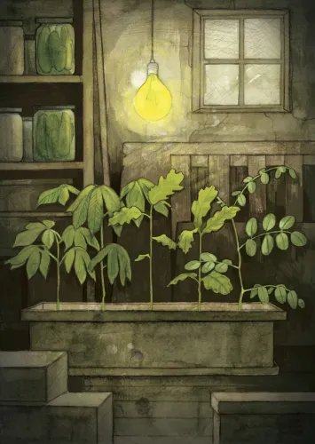 Ostatnie drzewo na Ziemi na Arena.pl