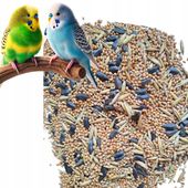 Pokarm dla papugi falistej 10 kg karma małe papugi GRATISproso