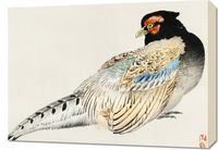 Obraz 70x50cm Peregrine Falcon, Kōno Bairei Japoński Vintage do Salonu