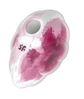 stymulator łechtaczki cloud dancer red print satisfyer