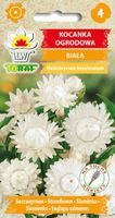 KOCANKA BIAŁA OGRODOWA NASIONA KWIATÓW KOCANKI NIEŚMIERTELNIK 0,5G TORAF