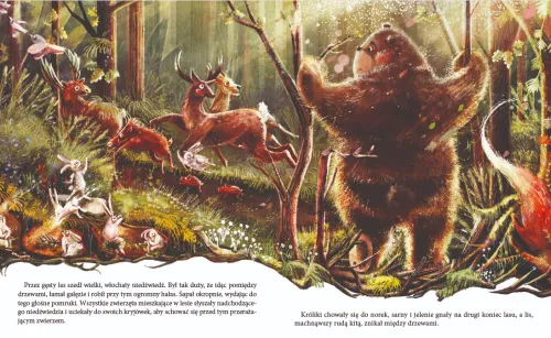 Niedźwiadek szuka przyjaciół na Arena.pl