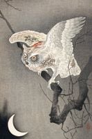 Plakat 61x91,5cm Scops Owl in Moonlight, Koson Japoński Vintage do Salonu