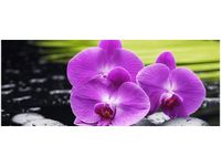 100X40CM KAMIENIE STORCZYKI OBRAZ DREWNO