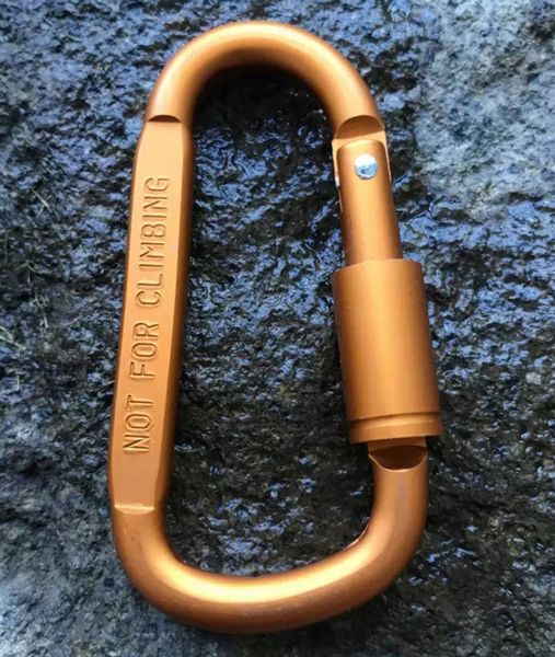 Karabińczyk karabinek montaż szekla osprzęt D-ring zdjęcie 2