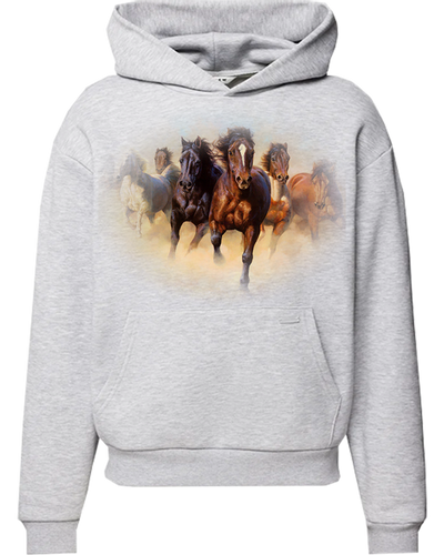 Bluza z kapturem Konie na Arena.pl